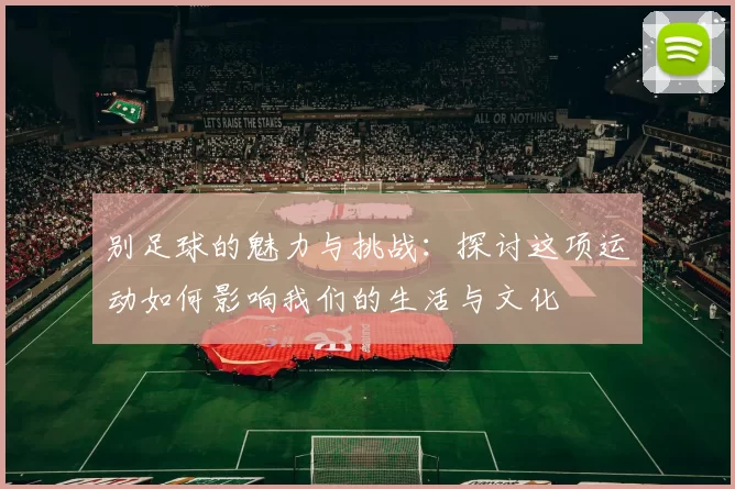 别足球的魅力与挑战：探讨这项运动如何影响我们的生活与文化