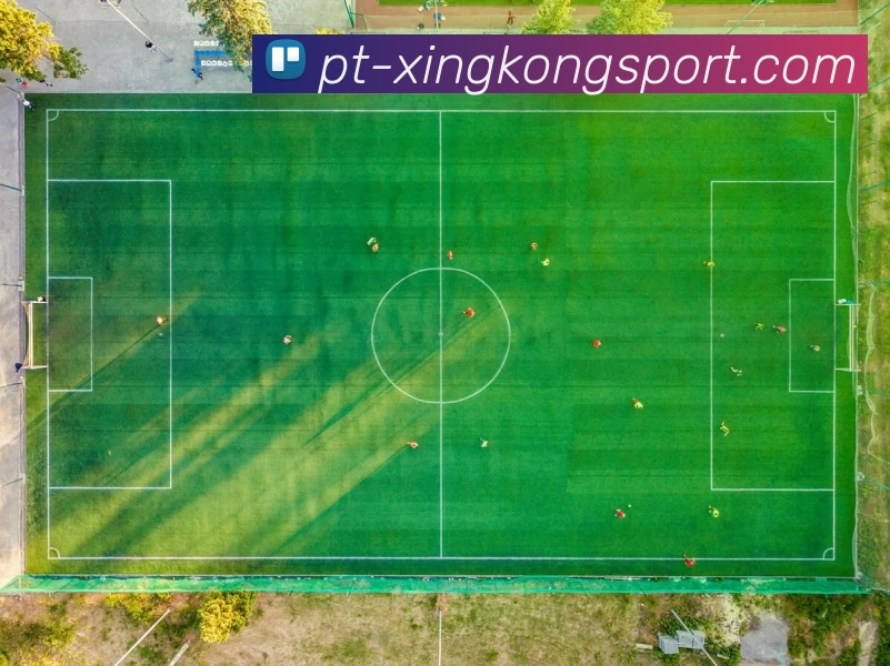 星空体育发展历程